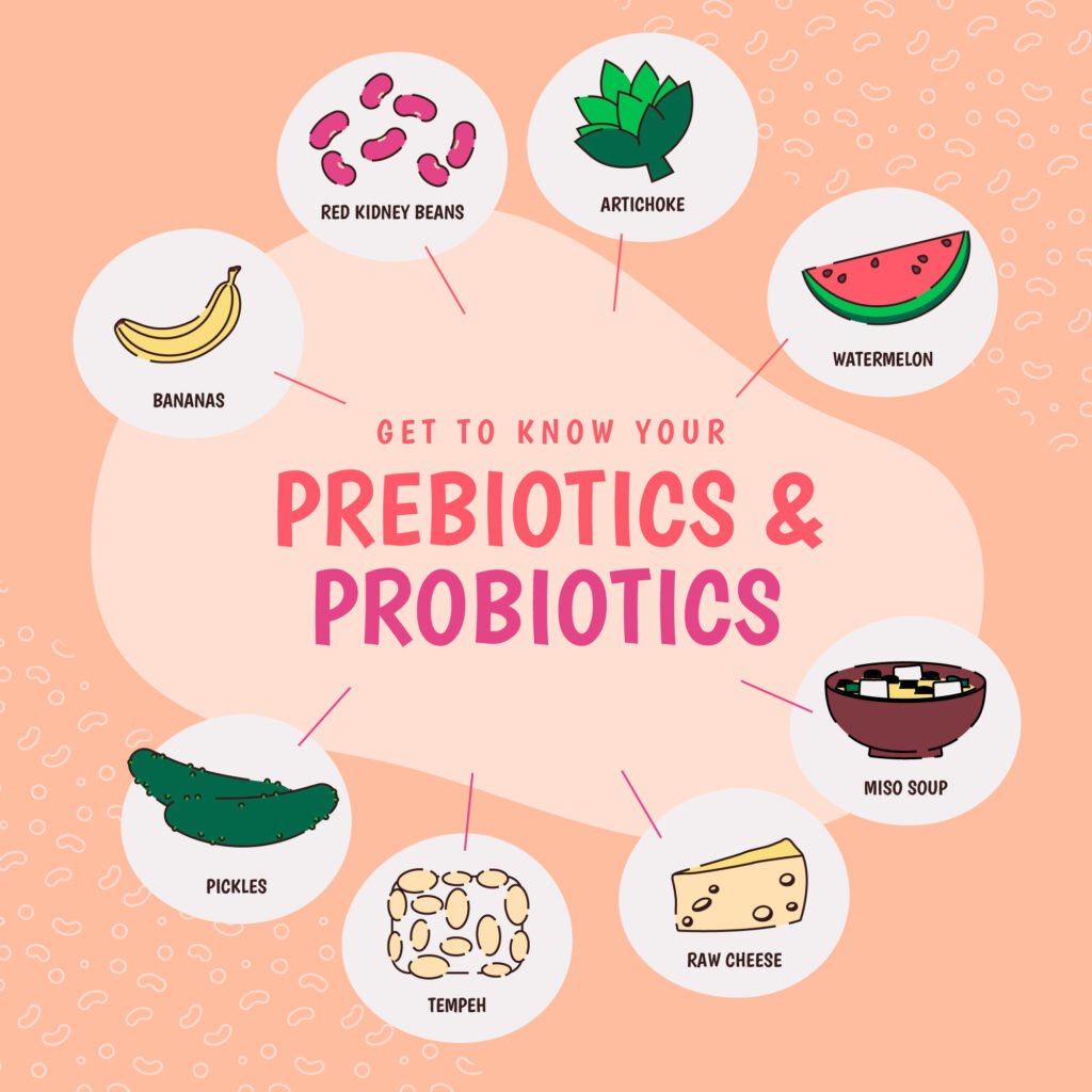 Illustration of Probiotics vs Prebiotics